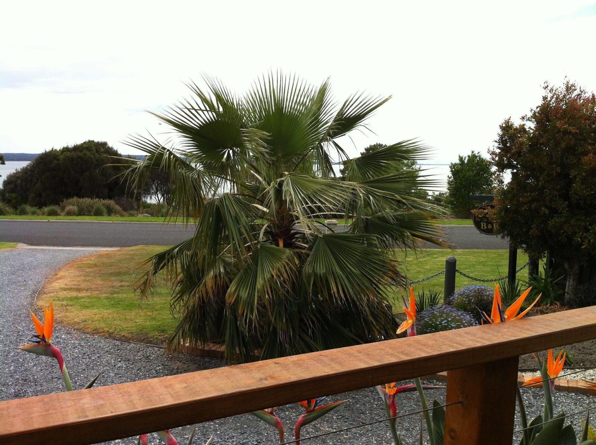 Corinella On The Esplanade Bed & Breakfast Exterior photo